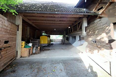 Жилище, Студенчике: 12