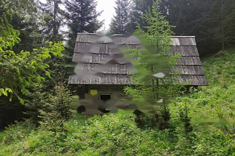 Жилище, Довье: 1