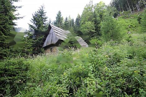 Жилище, Довье: 4