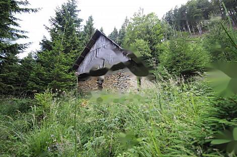 Жилище, Довье: 5