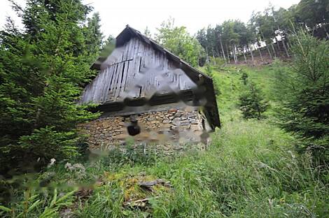 Жилище, Довье: 6