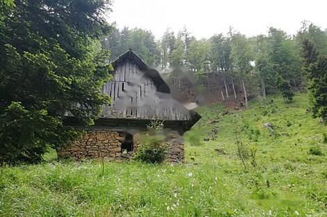 Жилище, Довье: 7