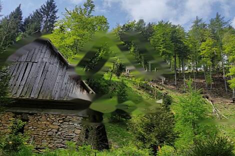 Жилище, Довье: 8