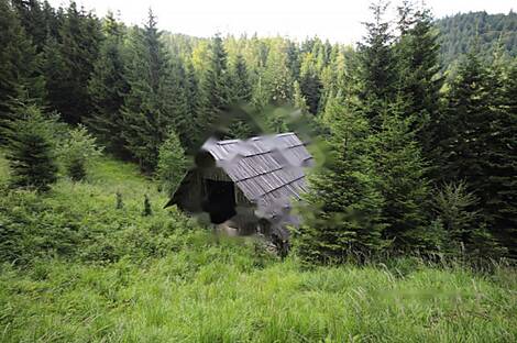 Жилище, Довье: 11