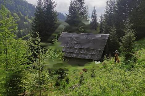 Жилище, Довье: 15