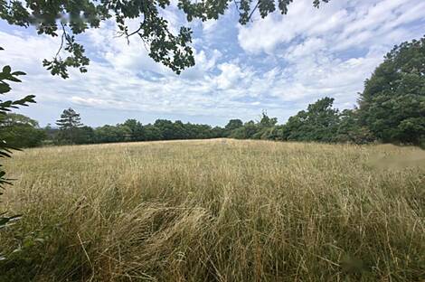 Штаньельский дом Мир: 4