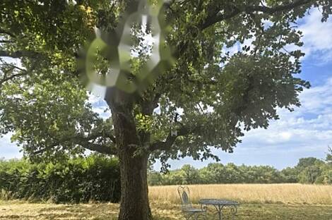 Штаньельский дом Мир: 6