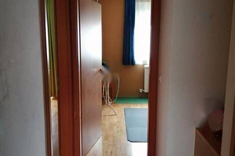 Хрпелье с террасой на крыше: 17