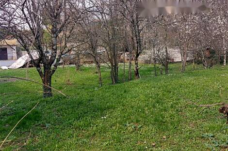 Сежана, дом: 23