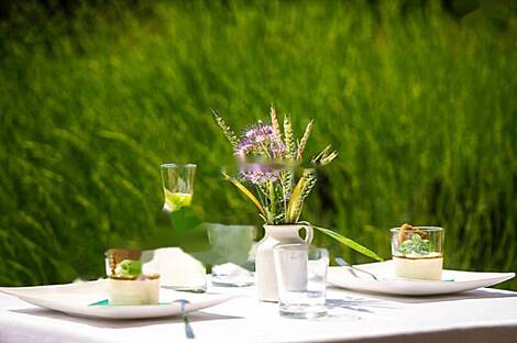 Дом в Шторье расположен в живописной местности, окружённой густыми лесами и чистым воздухом.: 8