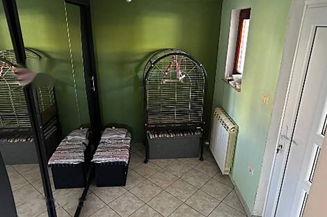 Анкаран, дом: 17