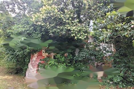 Лучия, Дом: 5