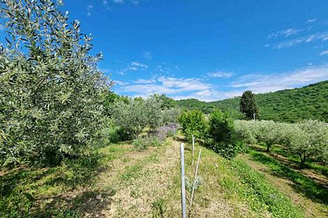 Лучия, Лиминьян, дом: 8