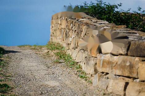 Малья, дом.: 19