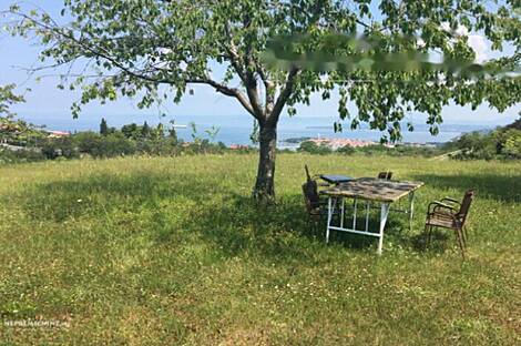 Изола, дом: 4