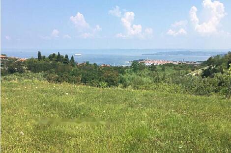 Изола, дом: 8