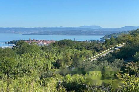 Изола, дом: 11