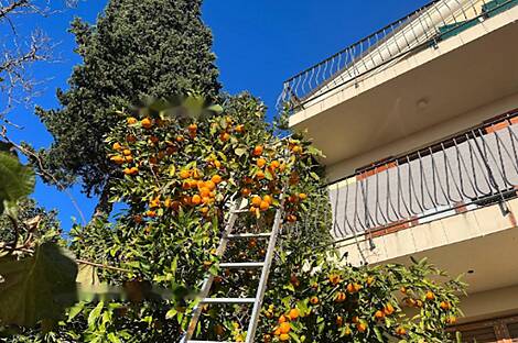 Порторож, дом: 15