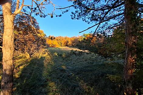 Новый Копер, дом в два этажа: 29