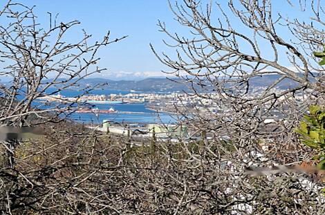 Плавье, дом: 3