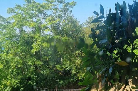 Жилище, Порторож: 2