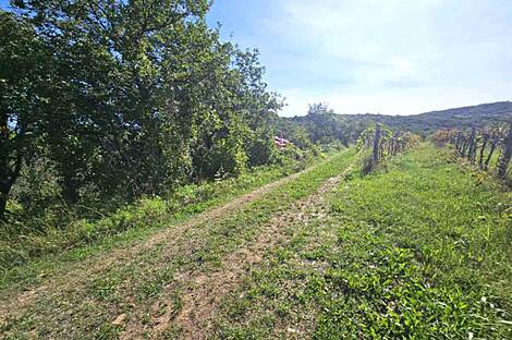 Объект 1 Дом Бангнель: 10