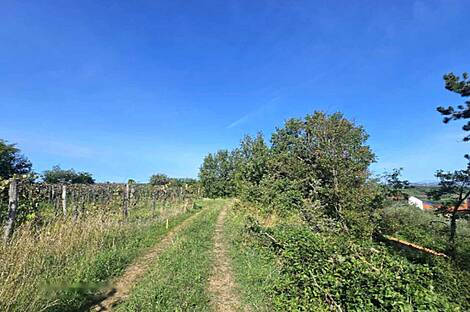 Объект 1 Дом Бангнель: 12