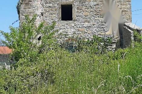 Здание с обширной территорией: 5