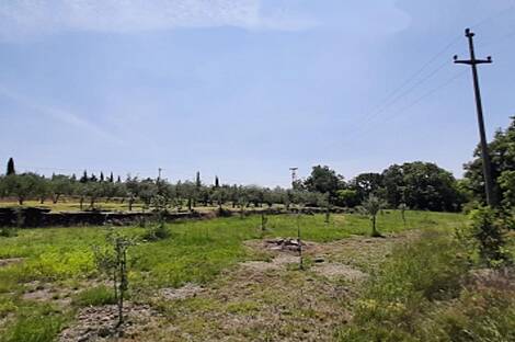 Здание с обширной территорией: 29