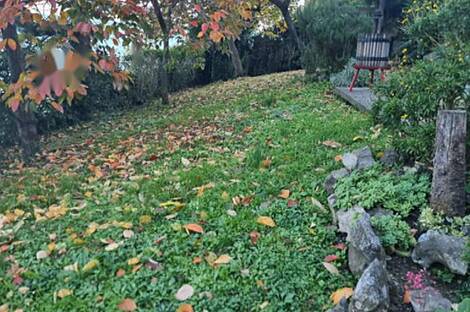 Копер, дом: 8