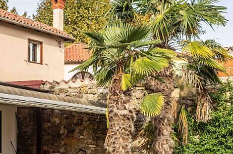 Копер, дом: 6