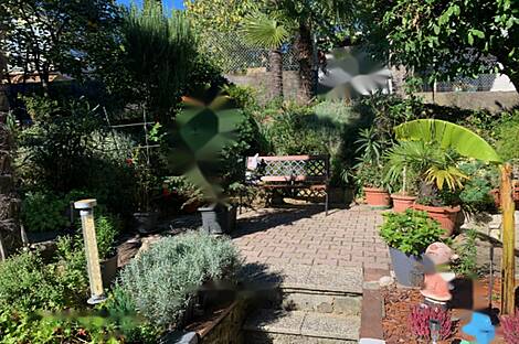 Жилище, Лучия: 8