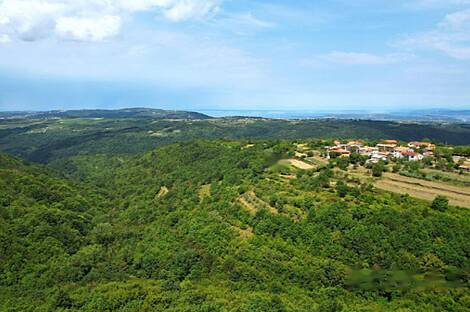 Резиденция Бельведур: 4