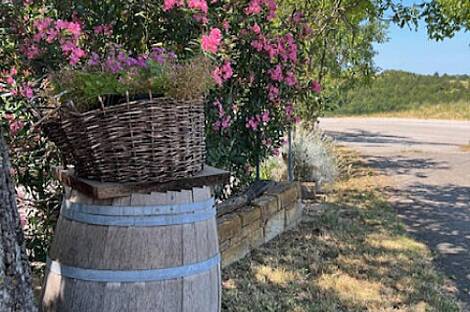 Резиденция Бельведур: 11