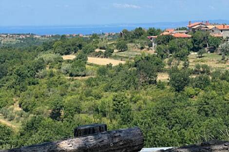 Резиденция Бельведур: 20