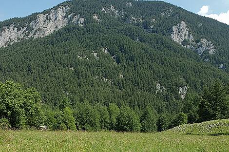 Участок земли в районе Бизовик, Любляна: 1