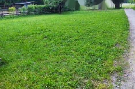 Земельный участок, частично застроенный под Стожице.: 2