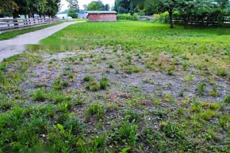 Земельный участок, частично застроенный под Стожице.: 4