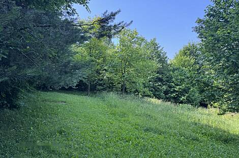 Подутика, Глинце, участок.: 1