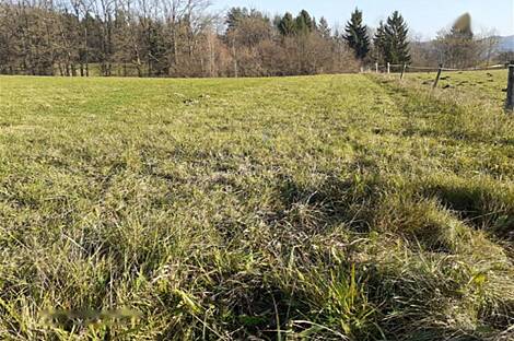 Земельный участок для инвестиций в Верхних Гамельнях: 4