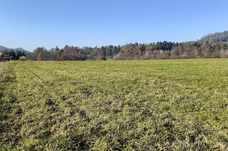 Земельный участок для инвестиций в Верхних Гамельнях: 5