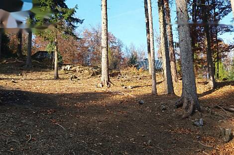 Земельный участок, строительство Малый Липоглав: 1