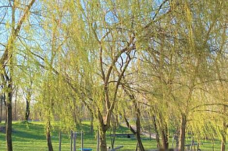 Рудник, участок для строительства.: 2