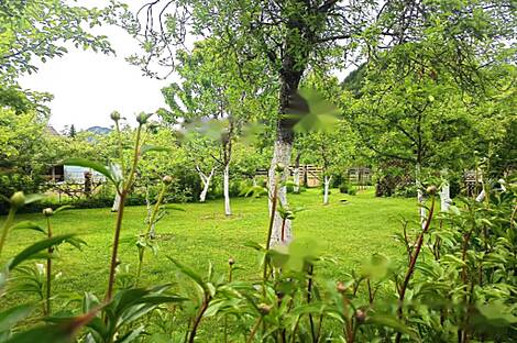 Резиденция, Блед, Вблизи Бледа: 3