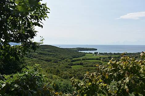 Дом Коломбан с террасой: 1