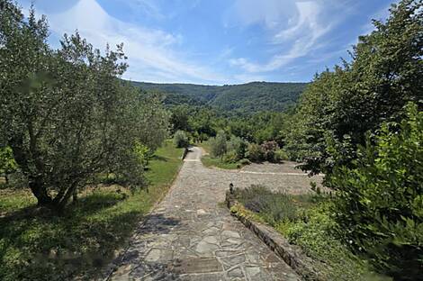 Пуче, дом, Драгонья: 23