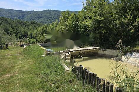 Дом, Пуче, Драгония: 25