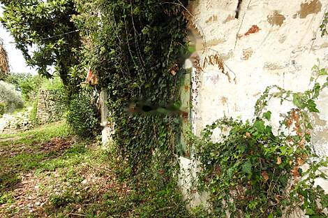 Сеча, Порторож, дом: 10