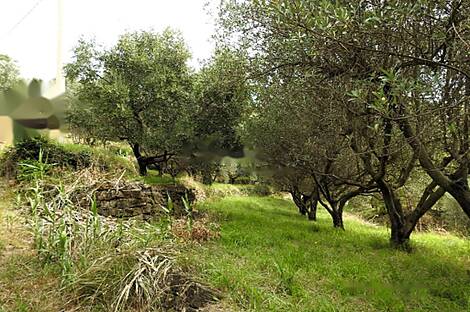 Сеча, Порторож, дом: 15