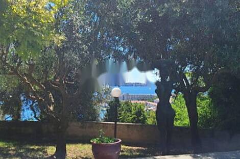 Дом в Портороже: 18